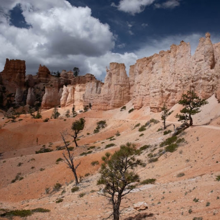 Bryce Canyon - the Great Wall