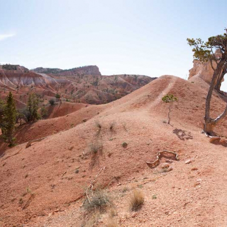 Bryce Canyon upwards path 1