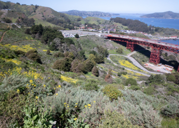 Biking the Golden Gate