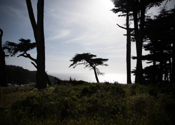 Lands End San Fran