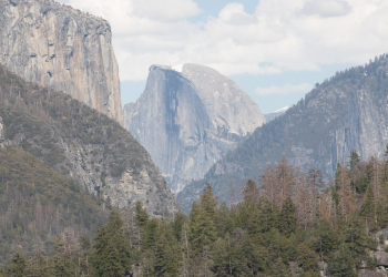 First Yosemite View