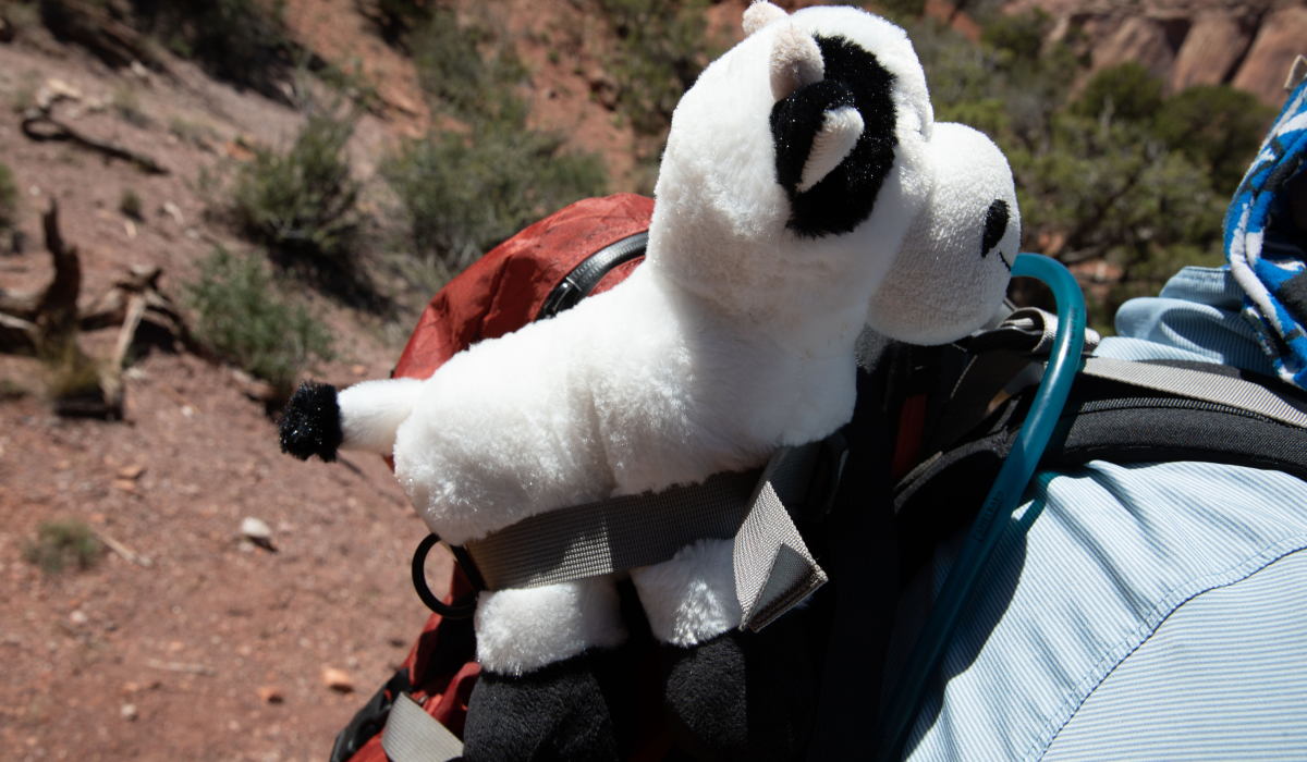 Holy on  Colorado National Monument