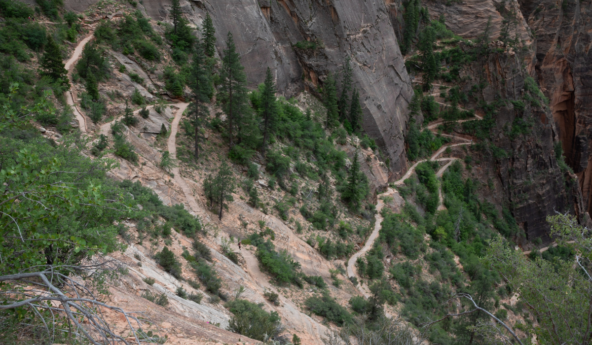 Zion Observation point the first switchbacks